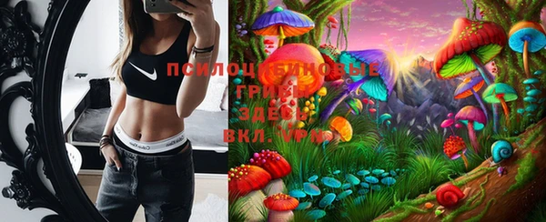 прущая мука Верхний Тагил