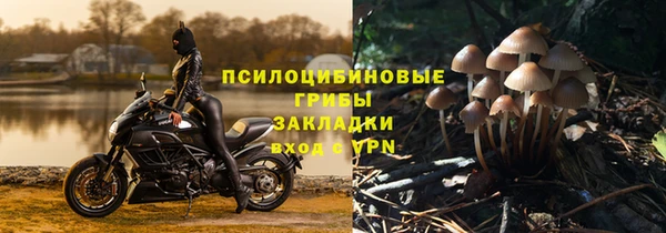 прущая мука Верхний Тагил