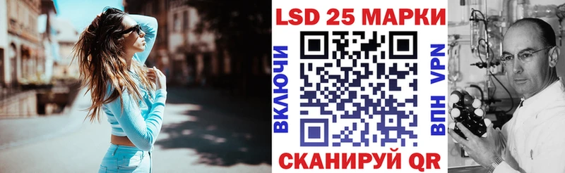 KRAKEN ONION Новохопёрск Наркотические марки 1500мкг где купить наркотик